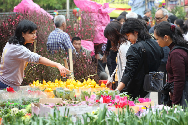 旺角花墟年宵花市（資料圖片）