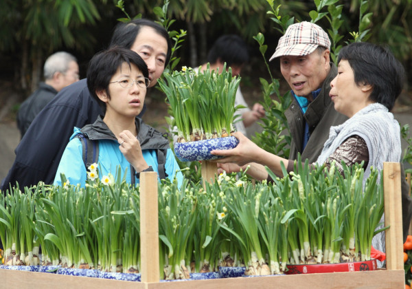 旺角花墟年宵花市（資料圖片）