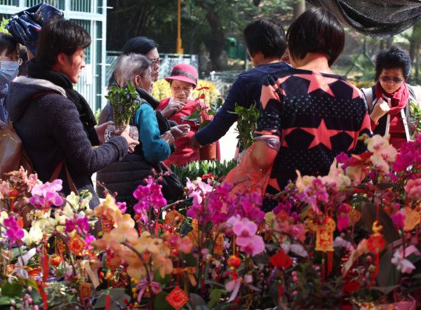 旺角花墟年宵花市（資料圖片）