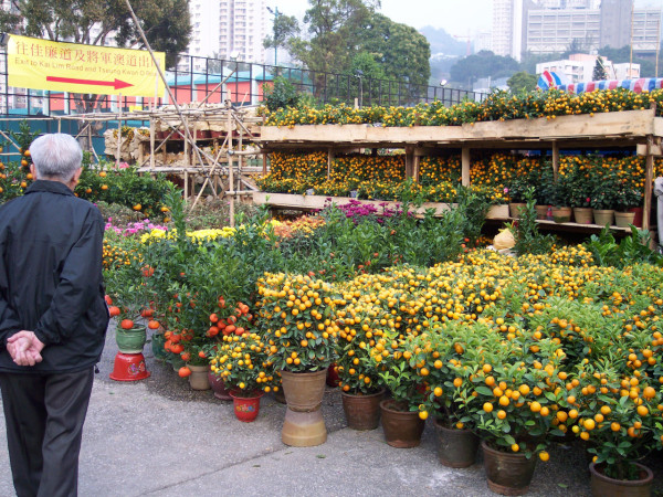 將軍澳年宵花市（資料圖片）