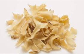 止咳方法｜中醫推30款白色食物助止咳！修復黏膜驅風邪／附5潤肺潤喉止咳湯水