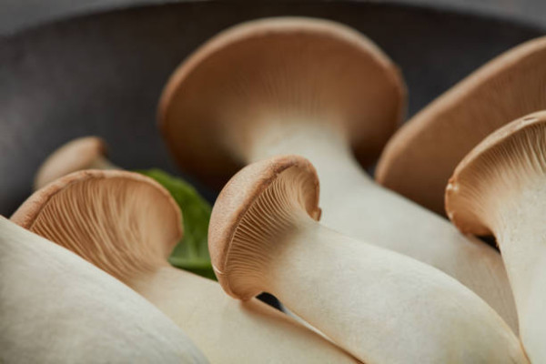 止咳方法｜中醫推30款白色食物助止咳！修復黏膜驅風邪／附5潤肺潤喉止咳湯水