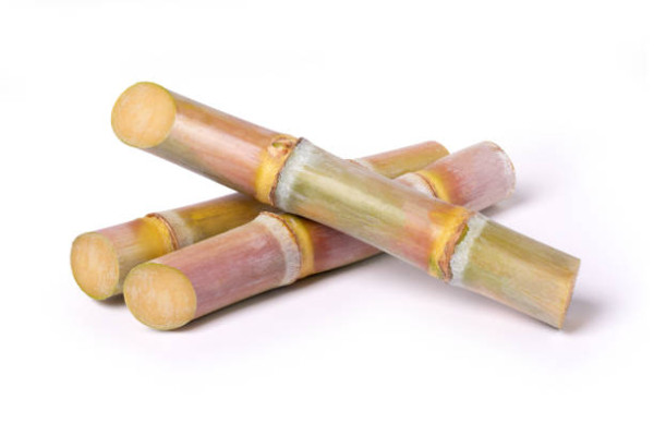 止咳方法｜中醫推30款白色食物助止咳！修復黏膜驅風邪／附5潤肺潤喉止咳湯水