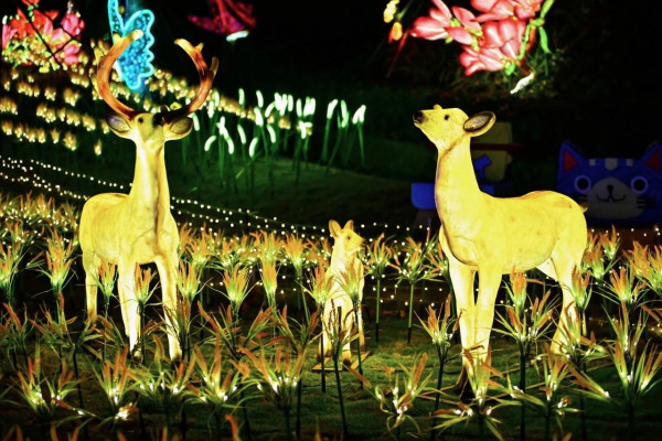 深圳農曆新年活動｜新年市集花燈會煙花巡遊 慶祝新年8大景點推介 