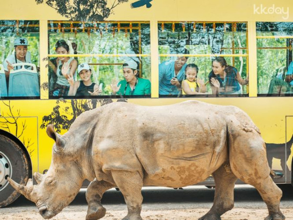 疑緬甸詐騙園新年大搞春晚 旗袍女表演中國舞/女團跳唱APT 現場氣氛熱烈 