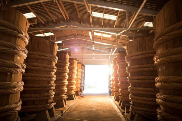 富國島自由行｜海陸空10大景點活動推介！一日遊/酒店/簽證/交通攻略 