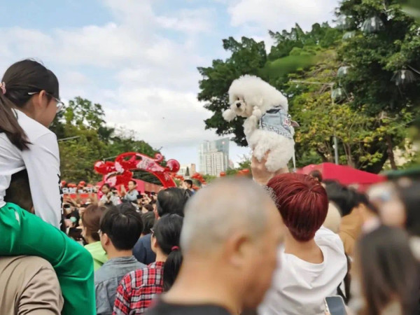 羅湖愛國路花市（圖片來源：羅湖發布微信公眾號）