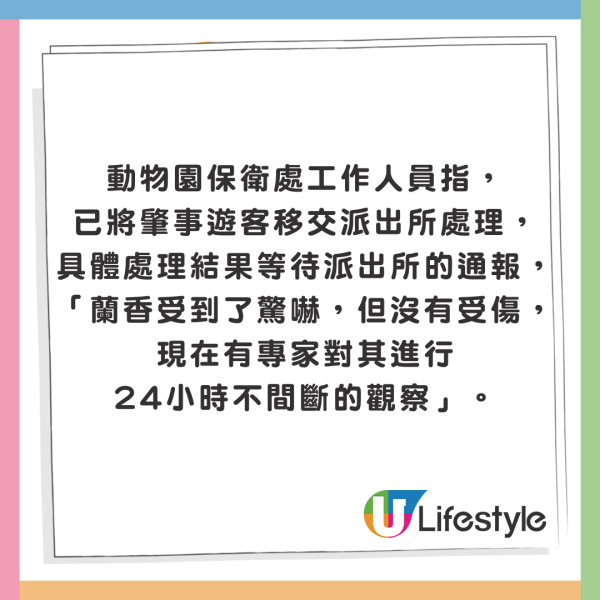 重慶大熊貓突然被扔膠樽受驚 涉事男遊客：叫佢飲可樂有錯咩？ 