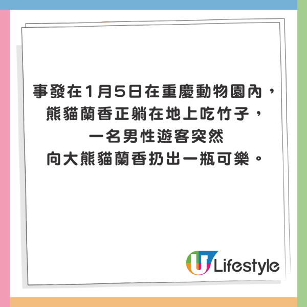 重慶大熊貓突然被扔膠樽受驚 涉事男遊客：叫佢飲可樂有錯咩？ 