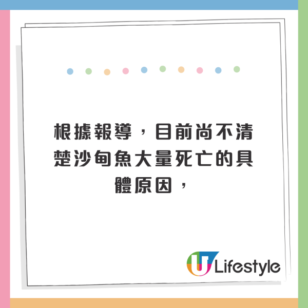 北海道岸邊再現大量沙甸魚屍！恐即將爆發一天災 畫面觸目驚心 