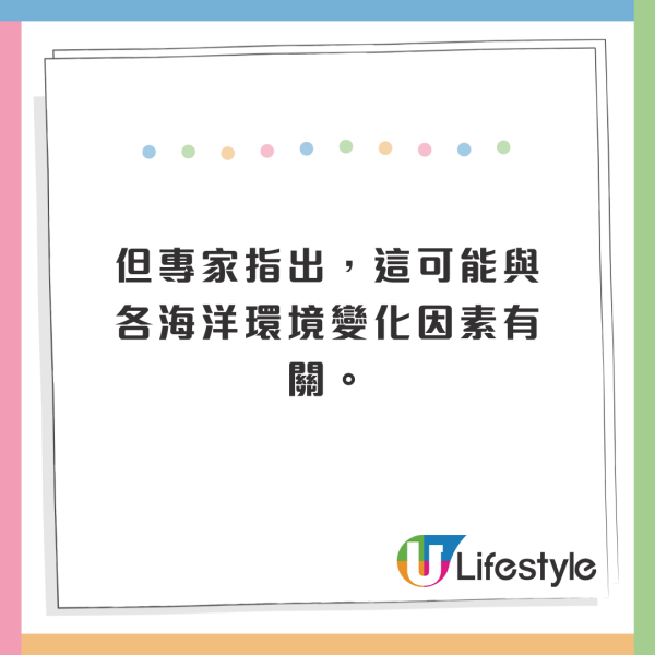 北海道岸邊再現大量沙甸魚屍！恐即將爆發一天災 畫面觸目驚心 