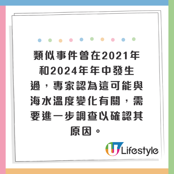 北海道岸邊再現大量沙甸魚屍！恐即將爆發一天災 畫面觸目驚心 