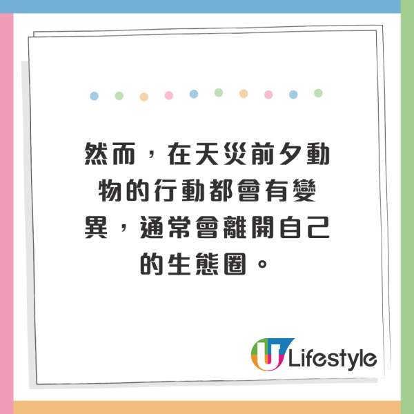 北海道岸邊再現大量沙甸魚屍！恐即將爆發一天災 畫面觸目驚心 
