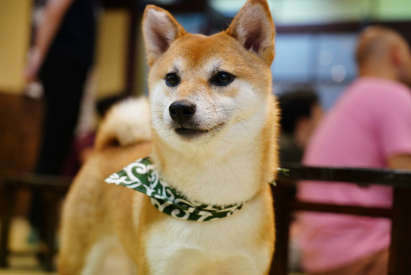 東京Cafe推介｜20大特色咖啡店 浮誇燒刨冰/哈利波特主題/咖啡世界盃得獎店 