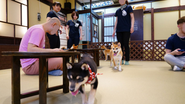 東京Cafe推介｜20大特色咖啡店 浮誇燒刨冰/哈利波特主題/咖啡世界盃得獎店 