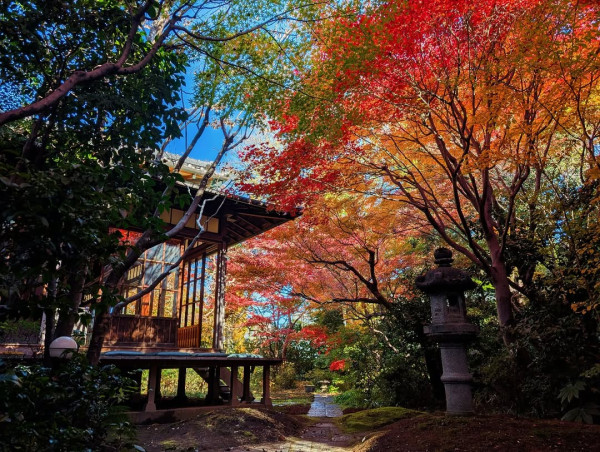 東京Cafe推介｜20大特色咖啡店 浮誇燒刨冰/哈利波特主題/咖啡世界盃得獎店 