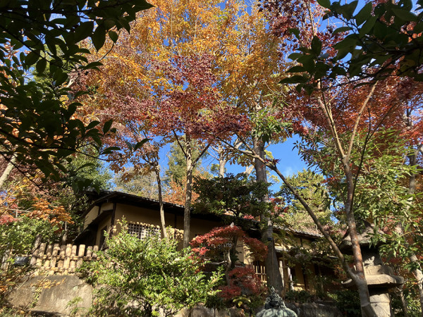 東京Cafe推介｜20大特色咖啡店 浮誇燒刨冰/哈利波特主題/咖啡世界盃得獎店 