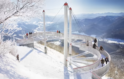 北海道7間星野集團酒店推介｜直達星野度假村滑雪場 0起入住札幌/函館/小樽/旭川酒店 