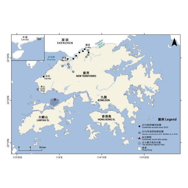 歐亞水獺蹤跡重現北大嶼水域 自上世紀60年代起絕跡大嶼山