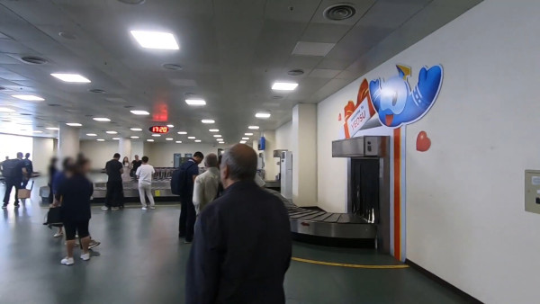 遊韓注意！韓國另一機場亦設石屎牆 跑道比務安更短 過往曾錄得多次鳥擊 