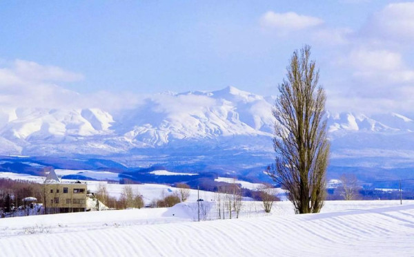 北海道農曆新年6日5夜套票快閃優惠！98包機票連25kg行李+周遊券+數據卡 