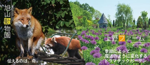 北海道農曆新年6日5夜套票快閃優惠！98包機票連25kg行李+周遊券+數據卡 