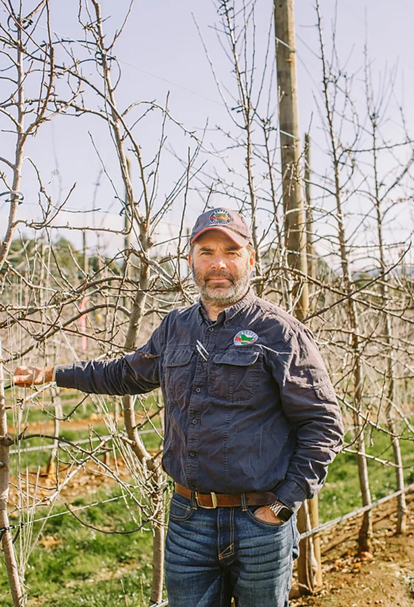 一文即睇入手攻略！澳洲塔斯曼尼亞43°South車厘子 甜度/辨別真假貨/入手方法