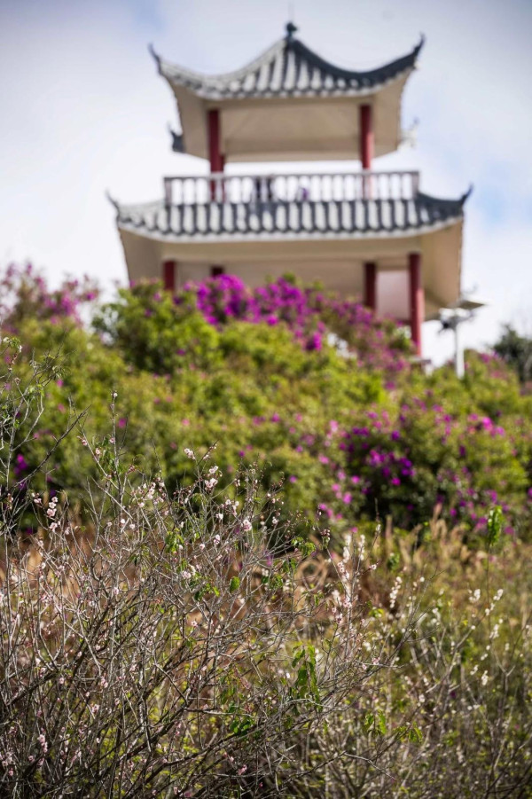 坪山馬巒山郊野公園(圖片來源:坪山發布微信公眾號) 坪山馬巒山郊野公園(圖片來源:坪山發布微信公眾號)