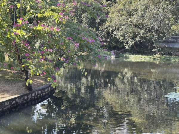 荔枝公園(圖片來源:小紅書@碧芹) 荔枝公園(圖片來源:小紅書@碧芹)