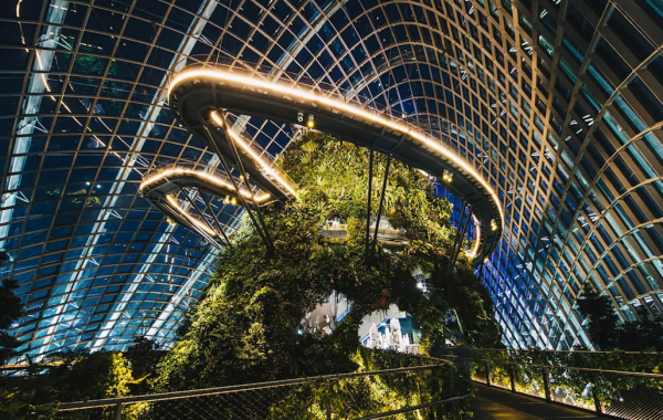 新加坡期間限定 | 迪士尼奇幻花園主題展覽 與人氣角色打卡 沉浸於鮮艷花海 