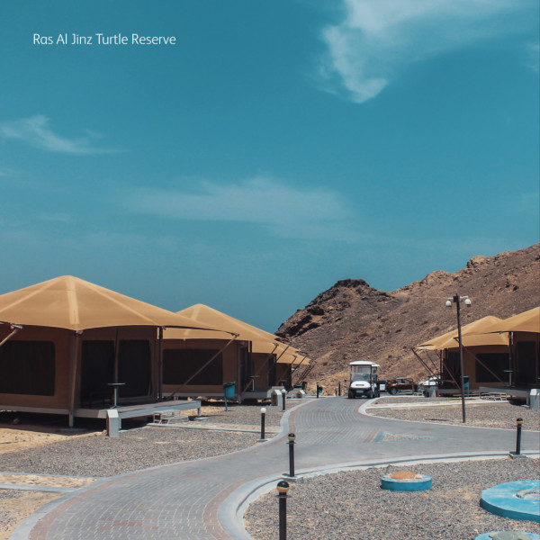 拉斯阿爾金茲海龜保護區（圖片來源︰FB@Ras Al Jinz Turtle Reserve محمية رأس الجنز للسلاحف ）