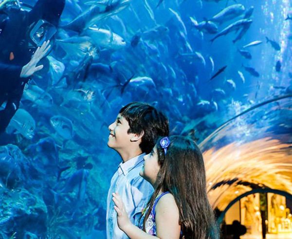 杜拜購物中心（圖片來源︰thedubaimall.com）