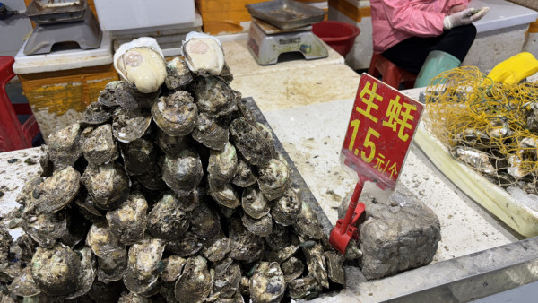 湛江自由行｜3日2夜高鐵遊行程景點美食推薦！打卡法式風情街/菠蘿的海 