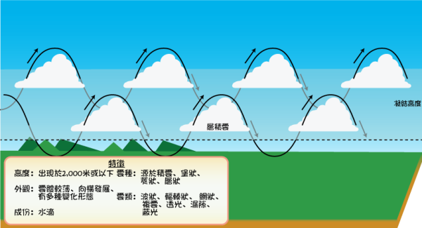 層積雲（圖片來源：天文台）