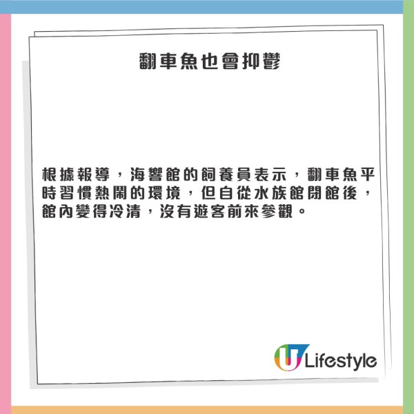 日本水族館翻車魚疑患抑鬱症!因沒遊客感寂寞!飼養員1暖心方法解愁
