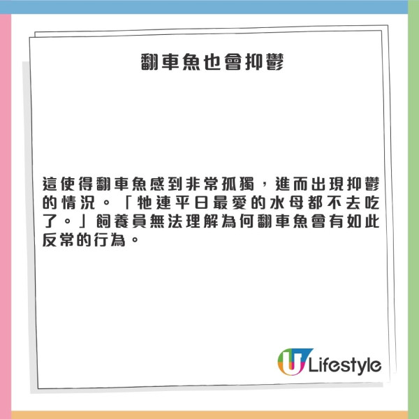 日本水族館翻車魚疑患抑鬱症!因沒遊客感寂寞!飼養員1暖心方法解愁