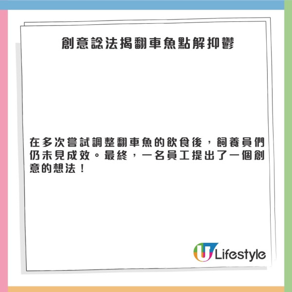 日本水族館翻車魚疑患抑鬱症!因沒遊客感寂寞!飼養員1暖心方法解愁