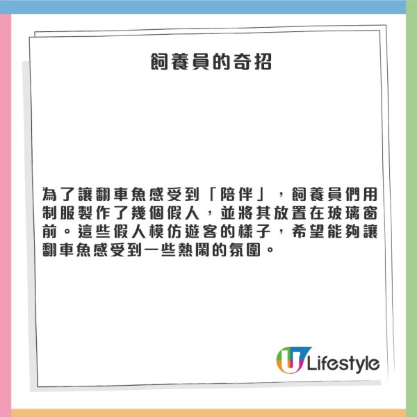 日本水族館翻車魚疑患抑鬱症!因沒遊客感寂寞!飼養員1暖心方法解愁
