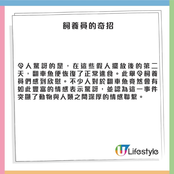 日本水族館翻車魚疑患抑鬱症!因沒遊客感寂寞!飼養員1暖心方法解愁