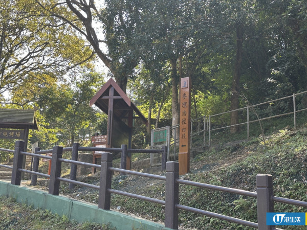 西沙一日遊｜全新運動熱點西沙GO PARK放電 麥理浩徑4段飽覽企嶺下海+西貢山脊美景