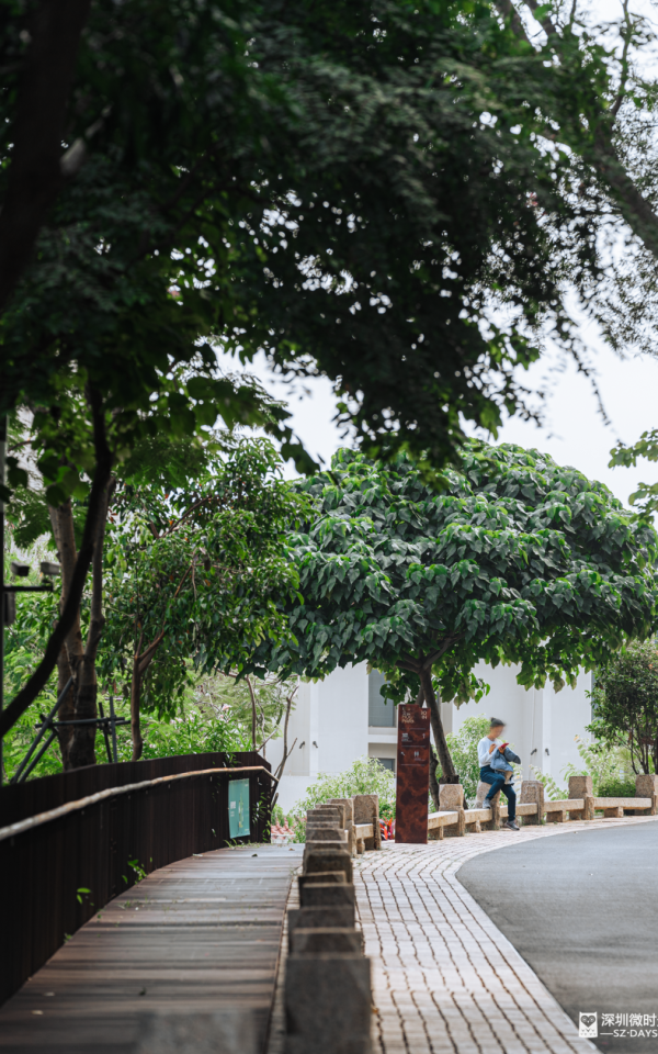 (圖片獲「深圳微時光」授權使用) 