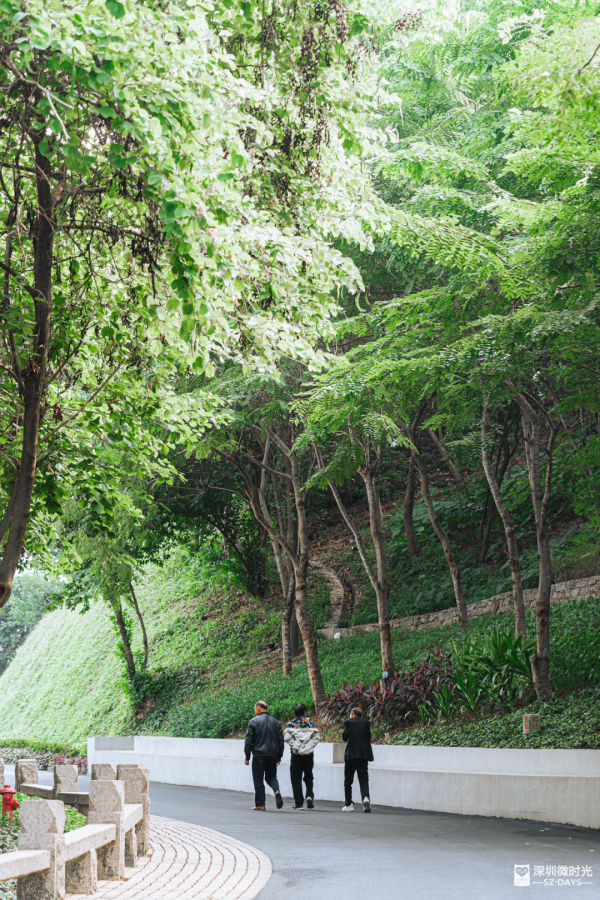  (圖片獲「深圳微時光」授權使用) 
