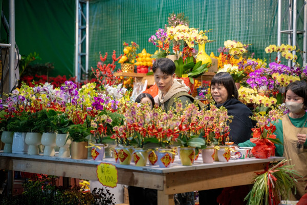 澳門農曆春節年宵市場(圖片來源︰澳門市政局) 澳門農曆春節年宵市場(圖片來源︰澳門市政局)