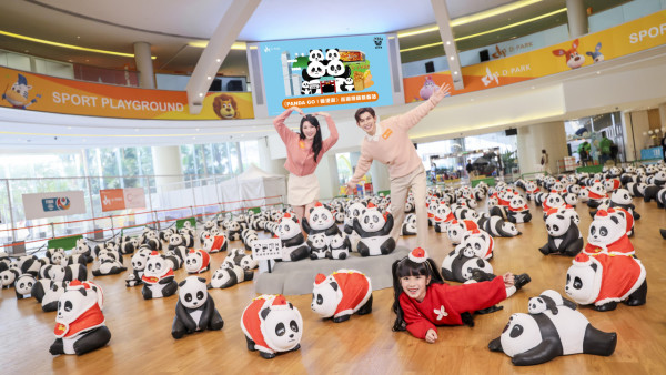 《PANDA GO! 香港遊》登陸荃灣