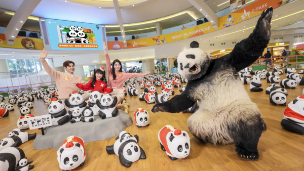 《PANDA GO! 香港遊》登陸荃灣