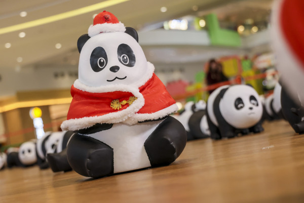 《PANDA GO! 香港遊》登陸荃灣