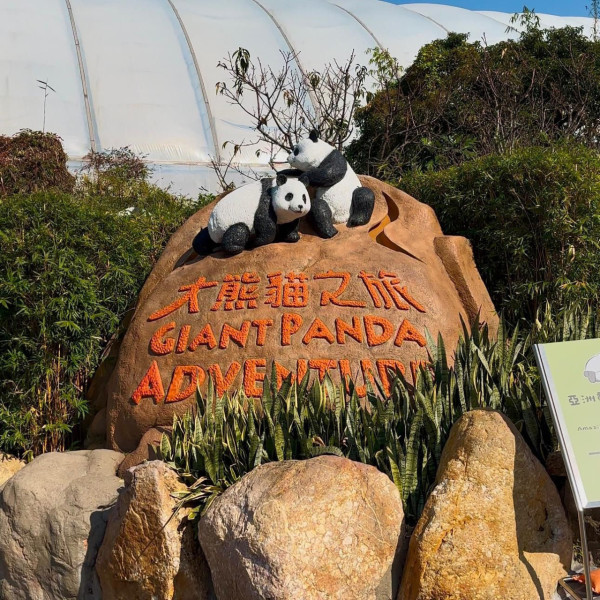 海洋公園迎來港產川金絲猴寶寶 第四胎順利誕生展區暫停開放