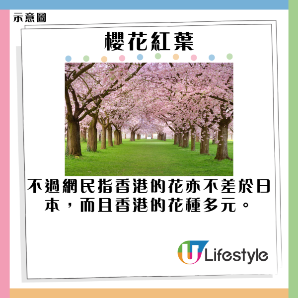 《九龍城寨之圍城》日本上映後一戲中名物爆紅 餐廳推同款餐飲 網民：要開門前排隊 