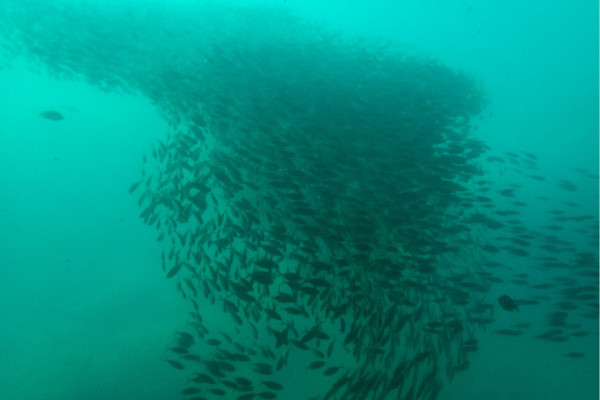 【飛女】安達曼海上的隱世明珠 – Trang (下) 