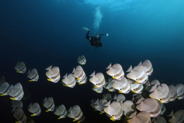 【飛女】邂逅泰國最美 - 蘭塔島 Koh Lanta 